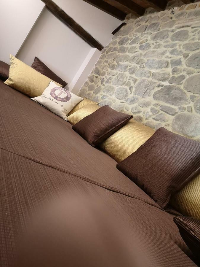 L'ospitale Dei Brilli *